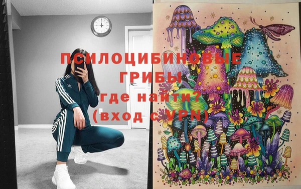 эйфоретик Абаза