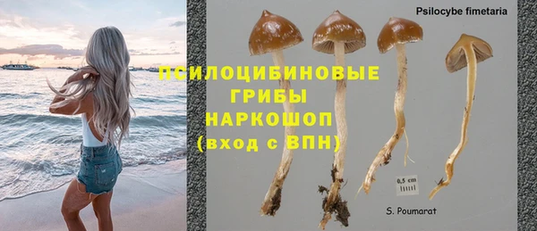 эйфоретик Абаза